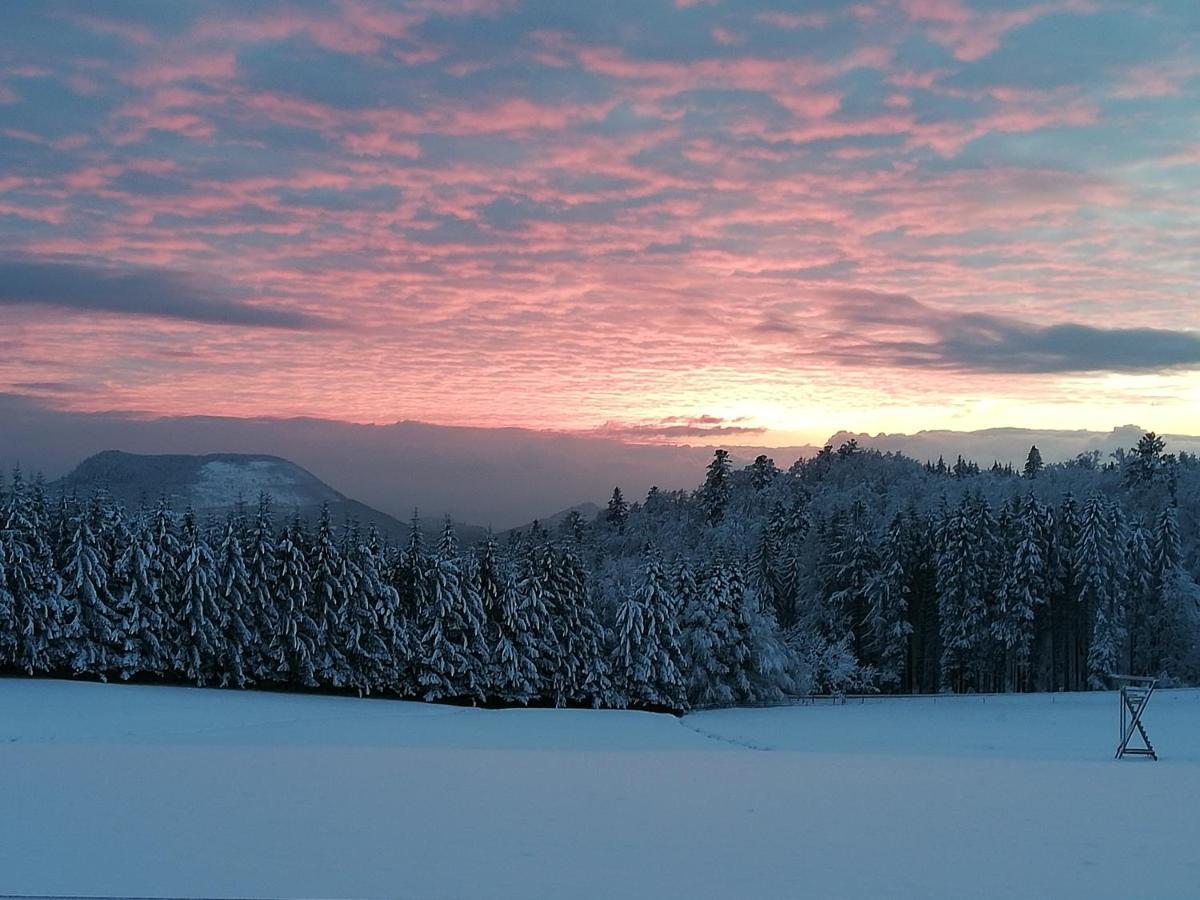 Plaine Domaine De Sianeヴィラ エクステリア 写真