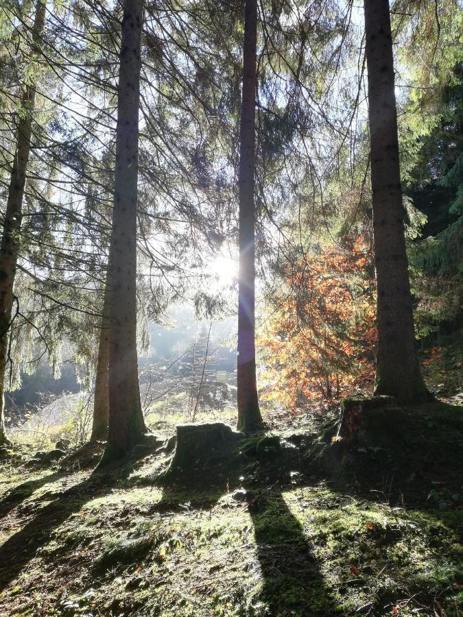Plaine Domaine De Sianeヴィラ エクステリア 写真